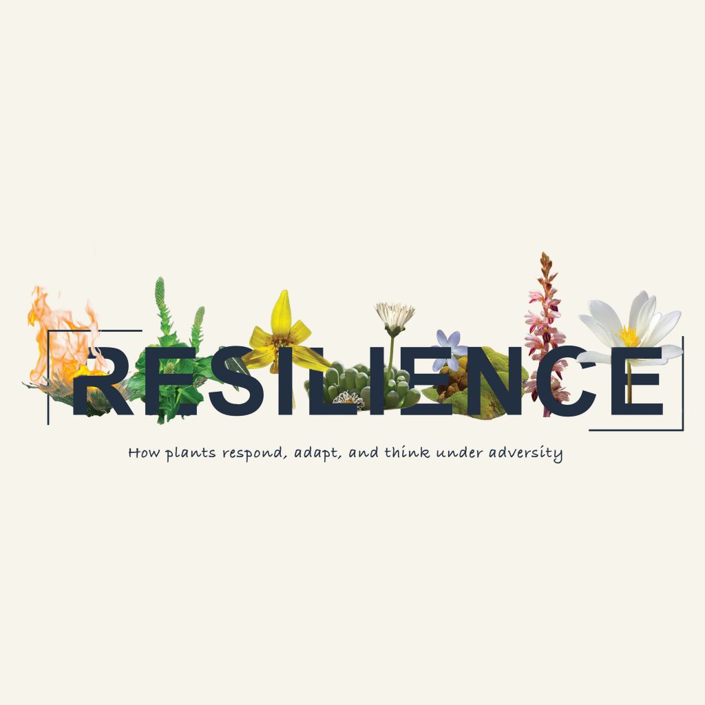 Resilience